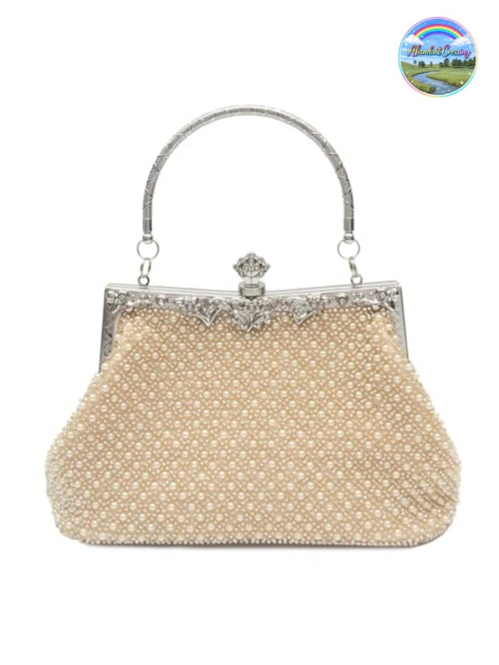 Vintage Beaded Clutch Evening Bag with Chain Strap for Women Formal